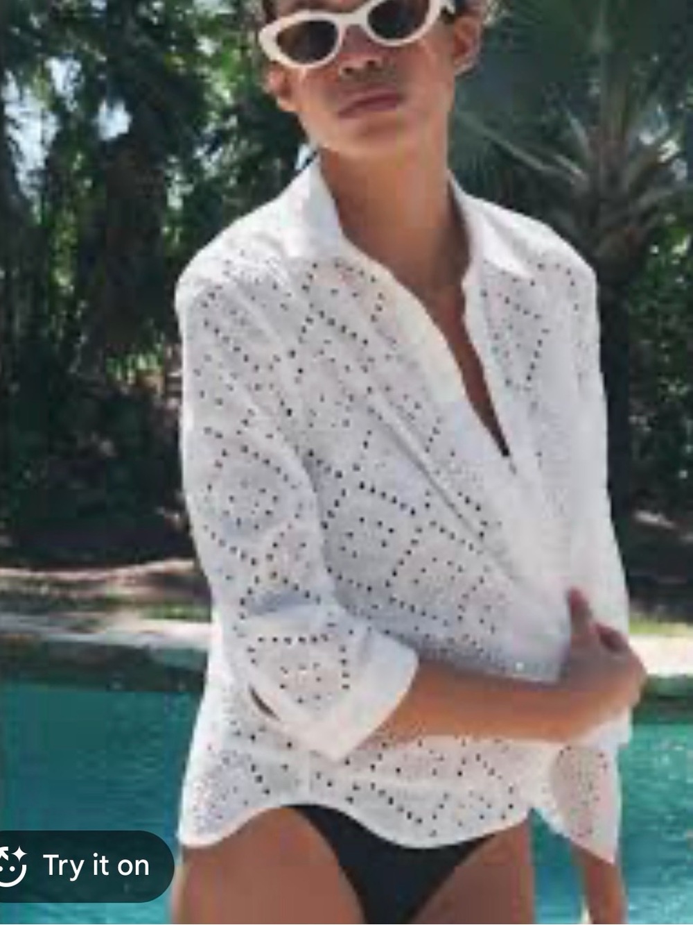 Zara Eyelet Button-Up Shirt